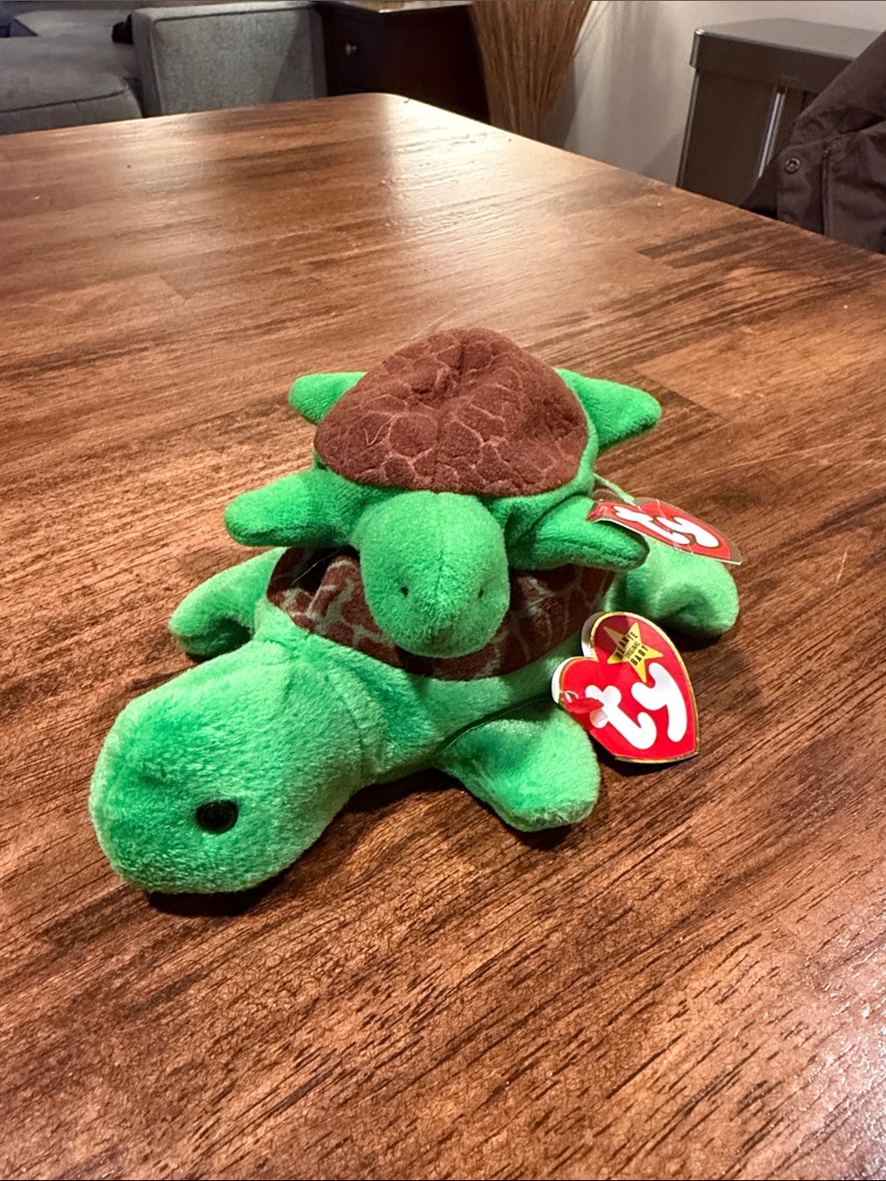 Ty Beanie Babies Turtle Plush Toy Duo